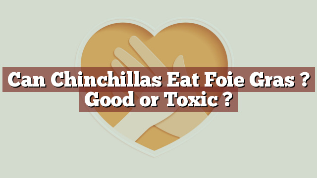 Can Chinchillas Eat Foie Gras ? Good or Toxic ?