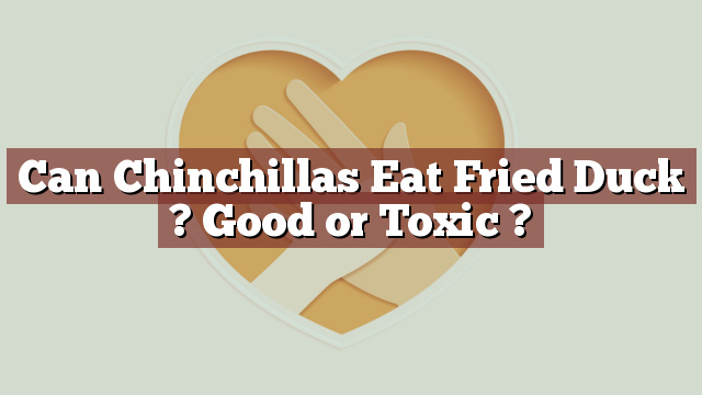 Can Chinchillas Eat Fried Duck ? Good or Toxic ?