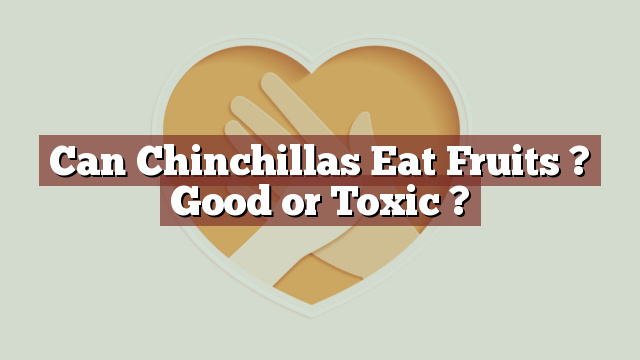 Can Chinchillas Eat Fruits ? Good or Toxic ?