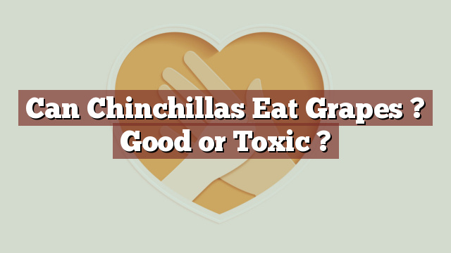 Can Chinchillas Eat Grapes ? Good or Toxic ?