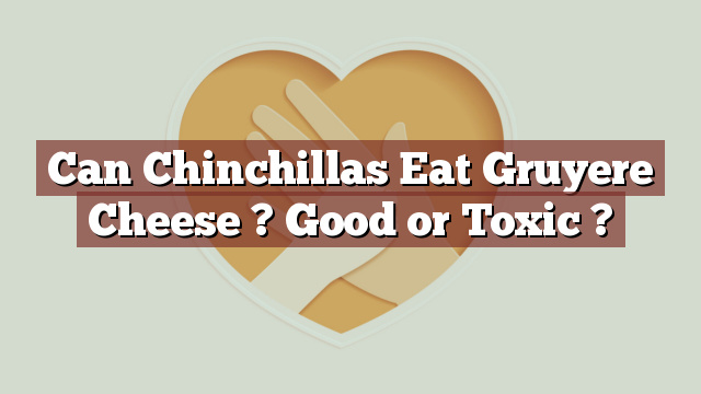 Can Chinchillas Eat Gruyere Cheese ? Good or Toxic ?