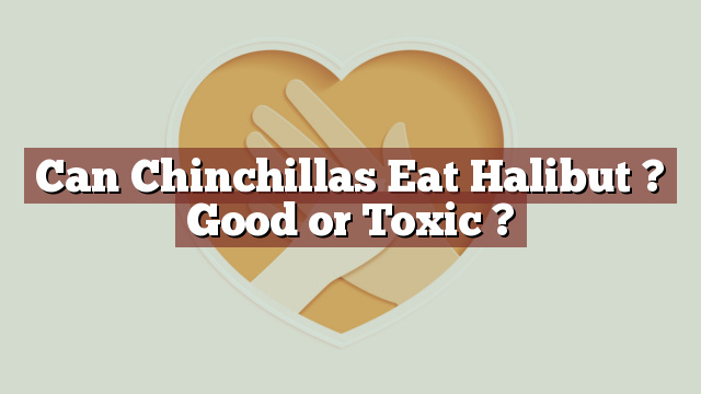 Can Chinchillas Eat Halibut ? Good or Toxic ?