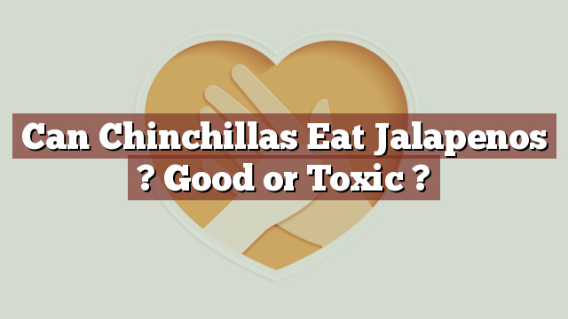 Can Chinchillas Eat Jalapenos ? Good or Toxic ?