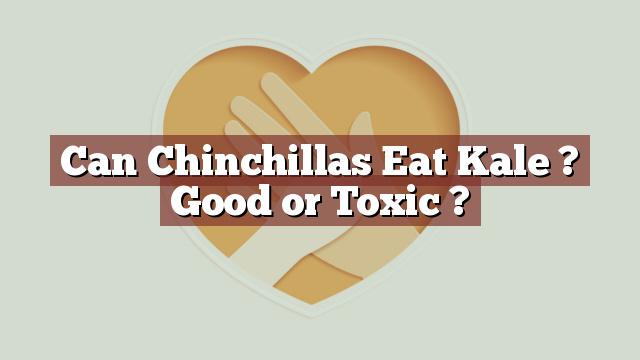 Can Chinchillas Eat Kale ? Good or Toxic ?