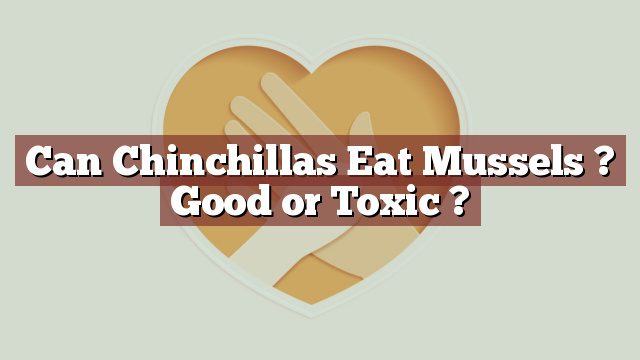 Can Chinchillas Eat Mussels ? Good or Toxic ?