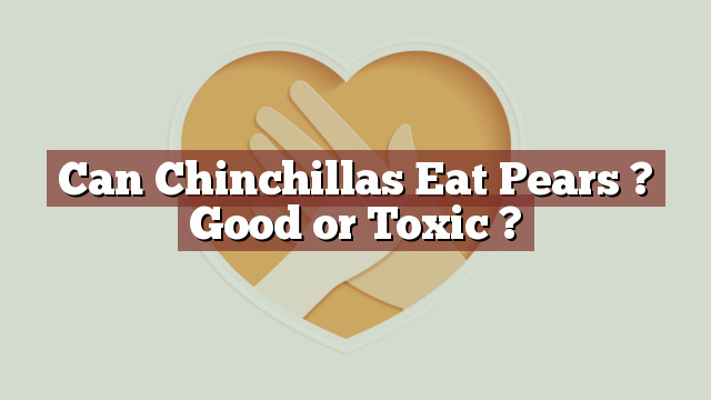 Can Chinchillas Eat Pears ? Good or Toxic ?