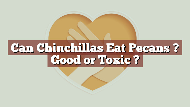 Can Chinchillas Eat Pecans ? Good or Toxic ?