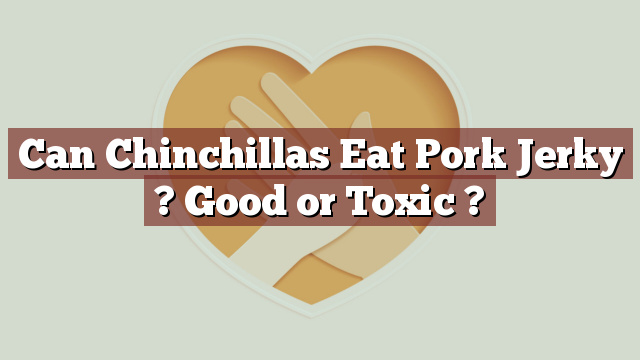 Can Chinchillas Eat Pork Jerky ? Good or Toxic ?