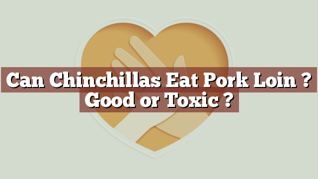 Can Chinchillas Eat Pork Loin ? Good or Toxic ?