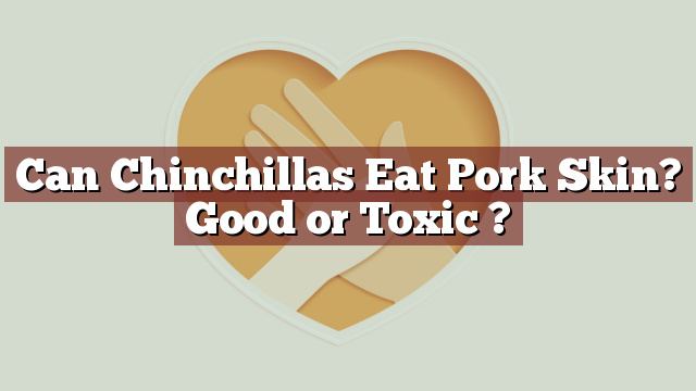Can Chinchillas Eat Pork Skin? Good or Toxic ?