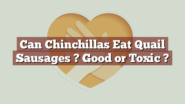 Can Chinchillas Eat Quail Sausages ? Good or Toxic ?