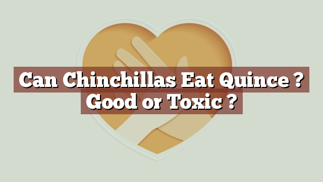Can Chinchillas Eat Quince ? Good or Toxic ?
