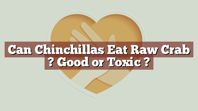 Can Chinchillas Eat Raw Crab ? Good or Toxic ?