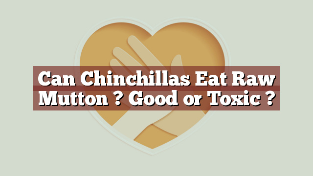 Can Chinchillas Eat Raw Mutton ? Good or Toxic ?