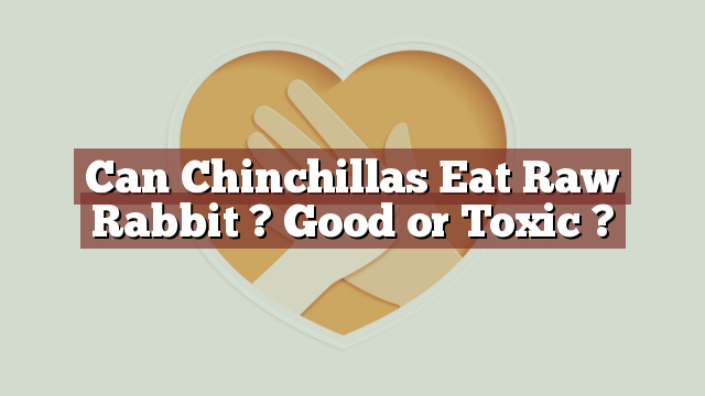 Can Chinchillas Eat Raw Rabbit ? Good or Toxic ?