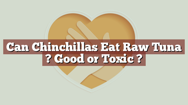 Can Chinchillas Eat Raw Tuna ? Good or Toxic ?