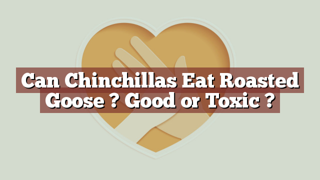 Can Chinchillas Eat Roasted Goose ? Good or Toxic ?