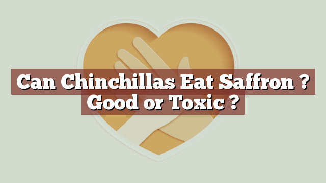 Can Chinchillas Eat Saffron ? Good or Toxic ?