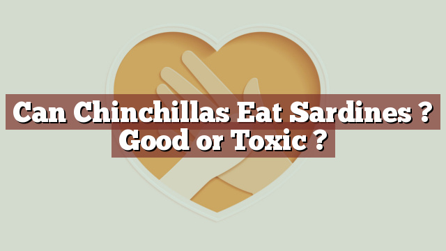 Can Chinchillas Eat Sardines ? Good or Toxic ?