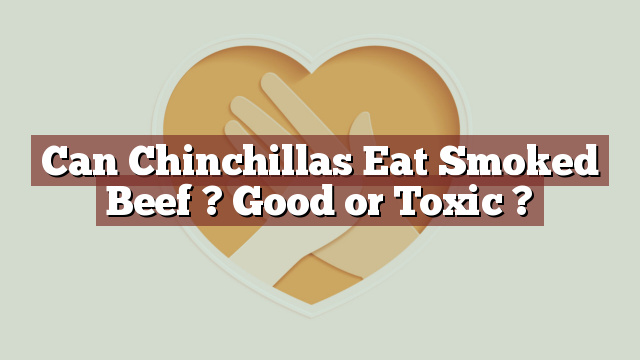Can Chinchillas Eat Smoked Beef ? Good or Toxic ?