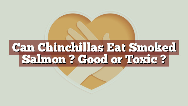 Can Chinchillas Eat Smoked Salmon ? Good or Toxic ?