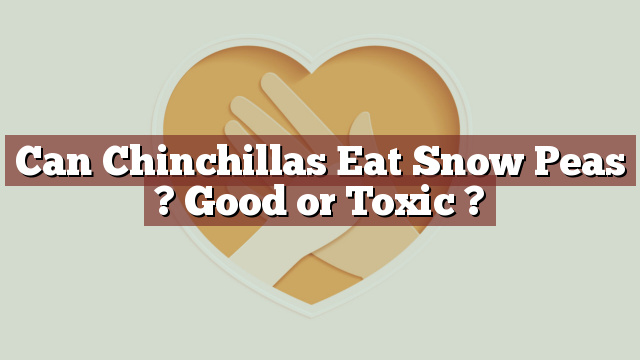 Can Chinchillas Eat Snow Peas ? Good or Toxic ?