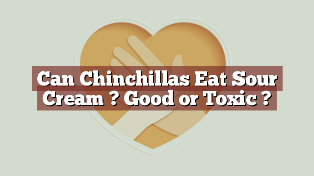 Can Chinchillas Eat Sour Cream ? Good or Toxic ?