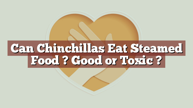 Can Chinchillas Eat Steamed Food ? Good or Toxic ?