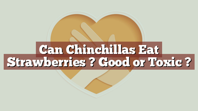 Can Chinchillas Eat Strawberries ? Good or Toxic ?