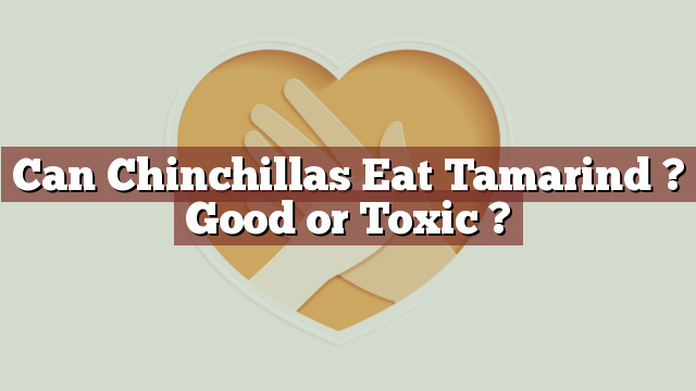 Can Chinchillas Eat Tamarind ? Good or Toxic ?
