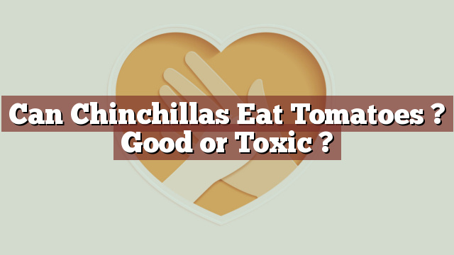 Can Chinchillas Eat Tomatoes ? Good or Toxic ?
