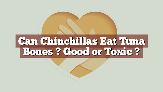 Can Chinchillas Eat Tuna Bones ? Good or Toxic ?