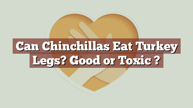 Can Chinchillas Eat Turkey Legs? Good or Toxic ?