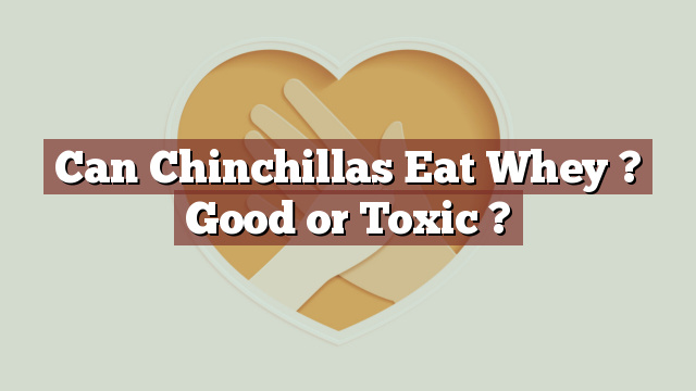 Can Chinchillas Eat Whey ? Good or Toxic ?