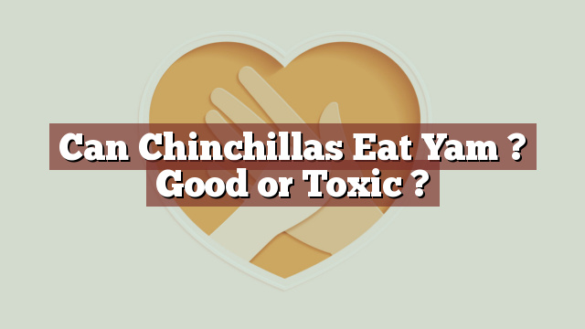 Can Chinchillas Eat Yam ? Good or Toxic ?