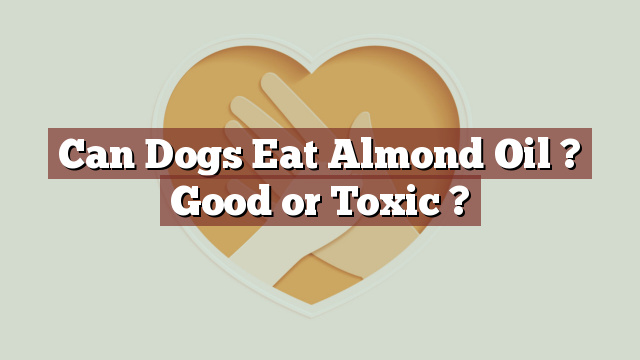 Can Dogs Eat Almond Oil ? Good or Toxic ?