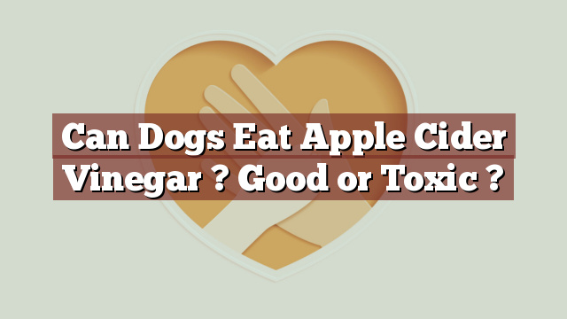 Can Dogs Eat Apple Cider Vinegar ? Good or Toxic ?