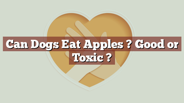 Can Dogs Eat Apples ? Good or Toxic ?
