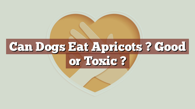 Can Dogs Eat Apricots ? Good or Toxic ?
