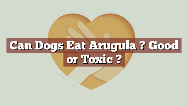 Can Dogs Eat Arugula ? Good or Toxic ?