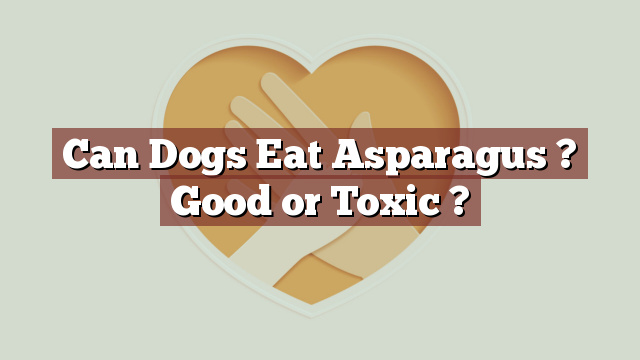 Can Dogs Eat Asparagus ? Good or Toxic ?