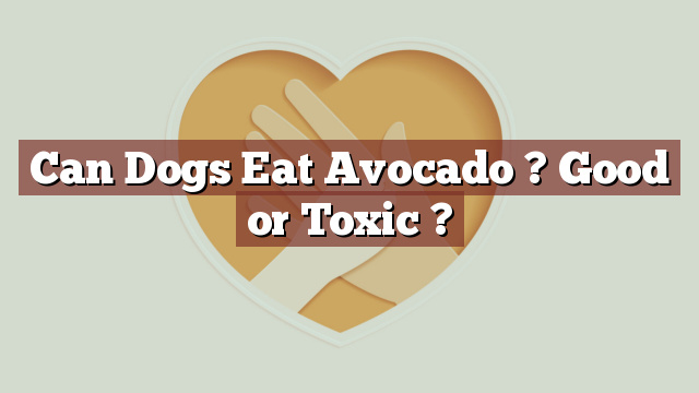 Can Dogs Eat Avocado ? Good or Toxic ?