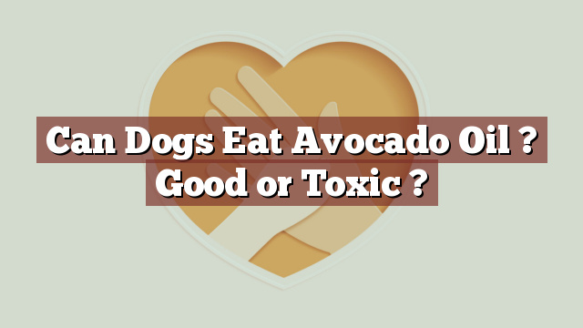 Can Dogs Eat Avocado Oil ? Good or Toxic ?
