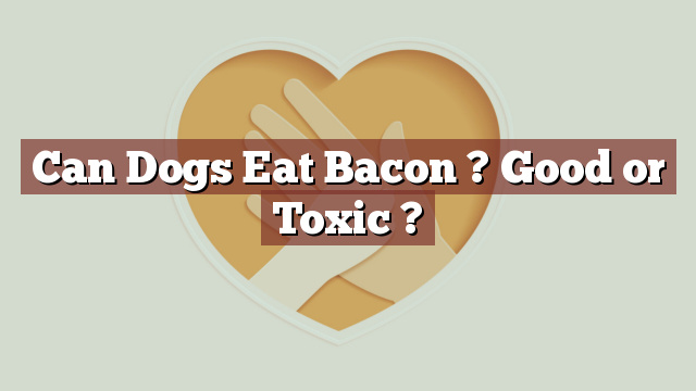 Can Dogs Eat Bacon ? Good or Toxic ?