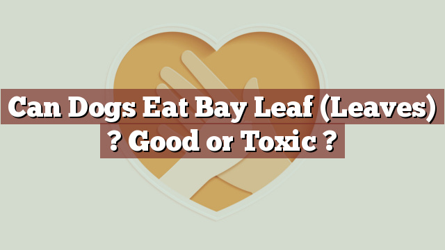 Can Dogs Eat Bay Leaf (Leaves) ? Good or Toxic ?