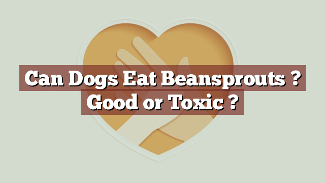 Can Dogs Eat Beansprouts ? Good or Toxic ?