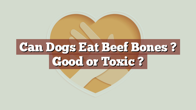Can Dogs Eat Beef Bones ? Good or Toxic ?