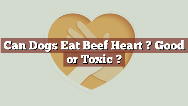 Can Dogs Eat Beef Heart ? Good or Toxic ?