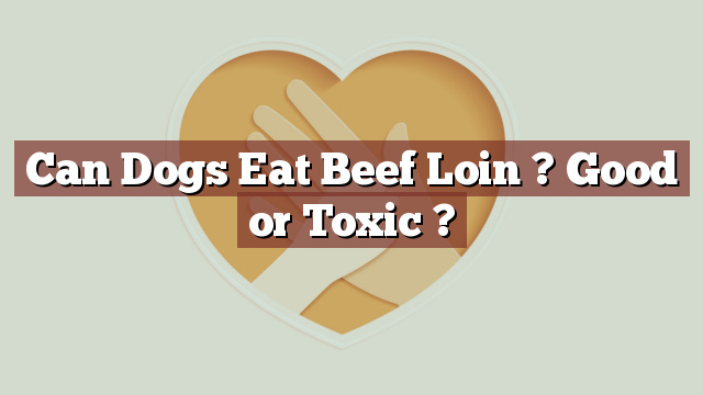 Can Dogs Eat Beef Loin ? Good or Toxic ?