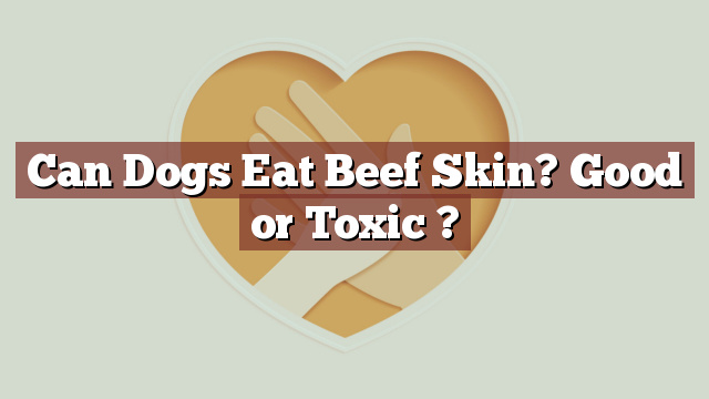Can Dogs Eat Beef Skin? Good or Toxic ?